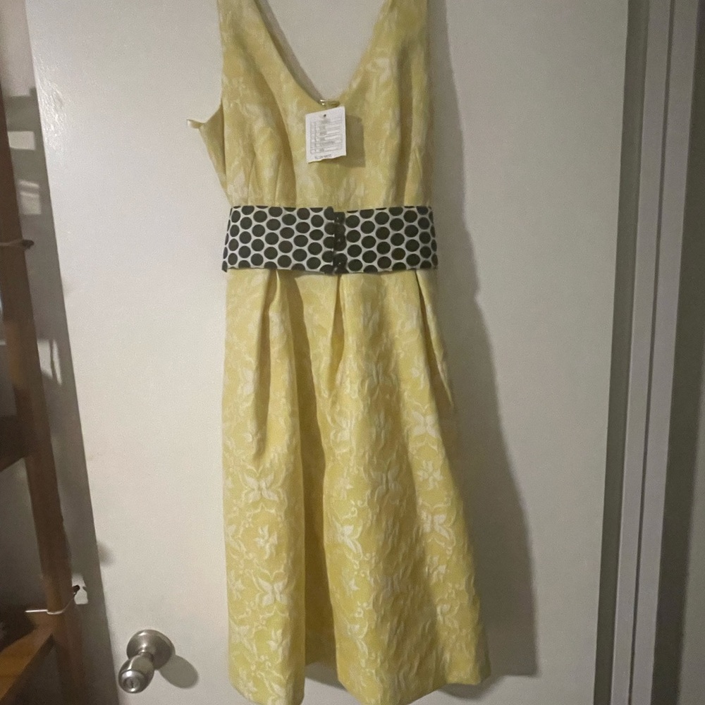 Knee length special occasion dress
